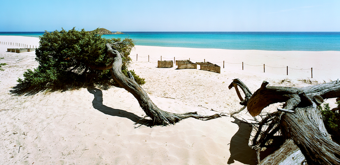 Playa Giudeu - Núcleos de formación de dunas embrionarias