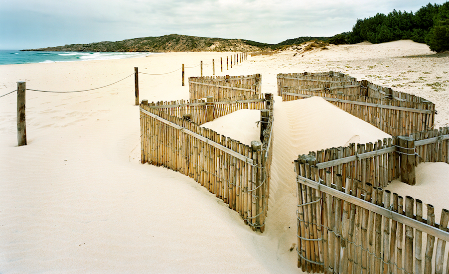 Playa Giudeu - Núcleos de formación de dunas embrionarias