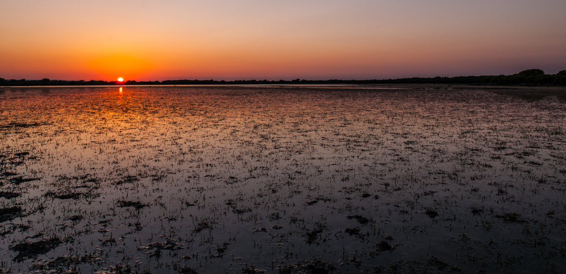 Tramonto su un pauli