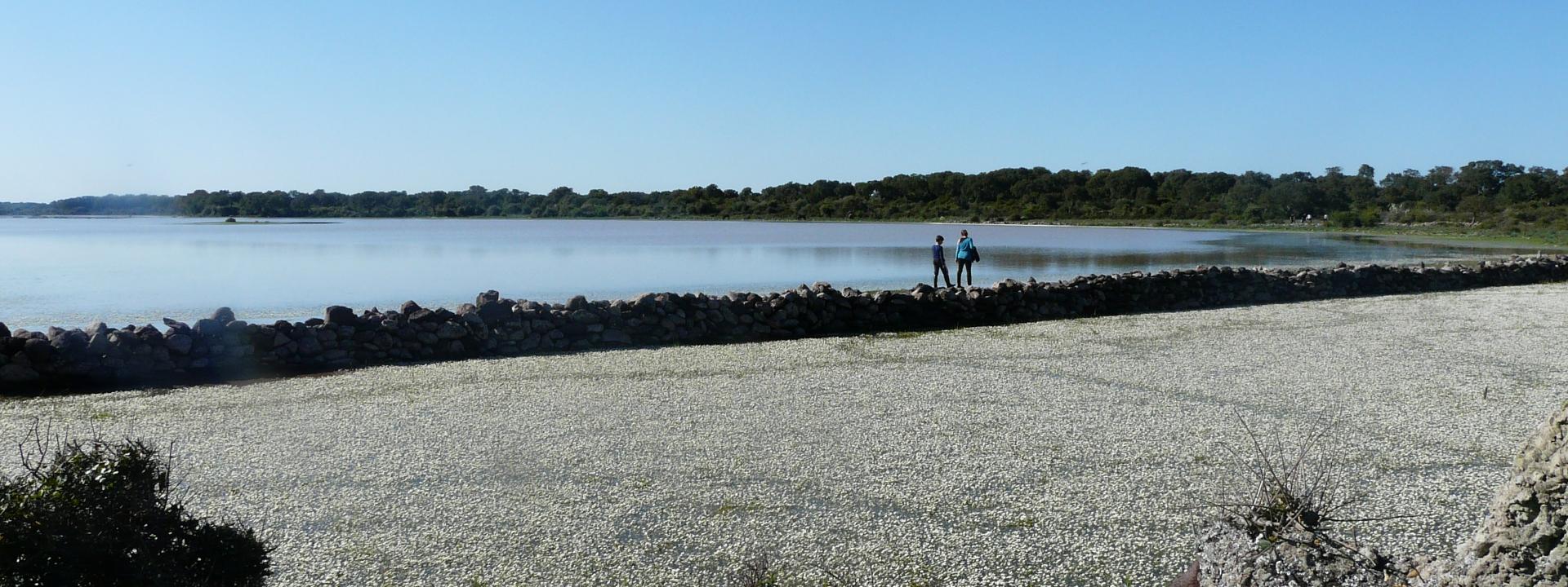 Progetto di valorizzazione del territorio del SIC "Giara di Gesturi"