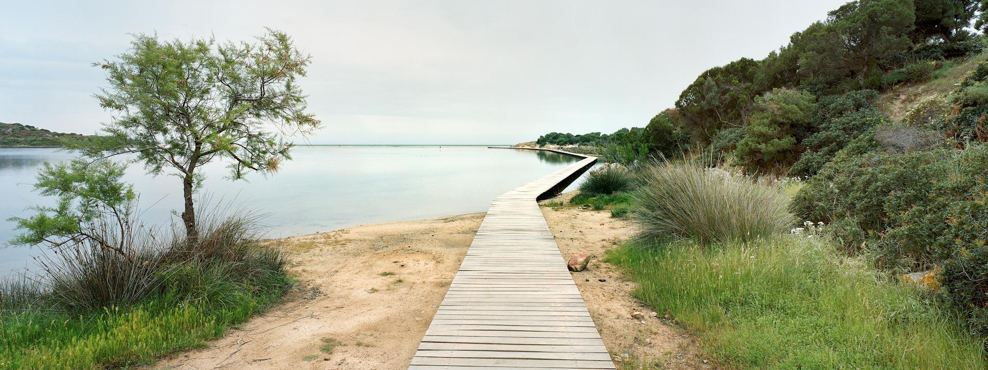 Restauración de las dunas de Chia y recuperación de sus alrededores